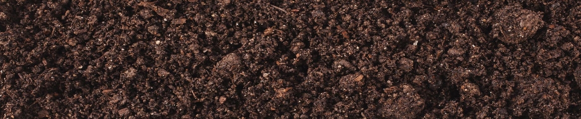 TopSoil