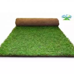 Eco Lawn Turf