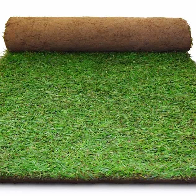 TEX = BEST VALUE Lawn Turf in London & Southeast direct to your door! TEX = BEST VALUE Lawn Turf in London & Southeast direct to your door!