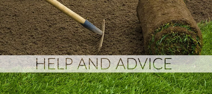 Rolawn Medallion turf being laid_opt