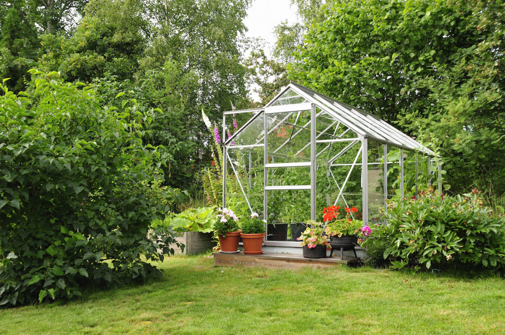 Garden greenhouse