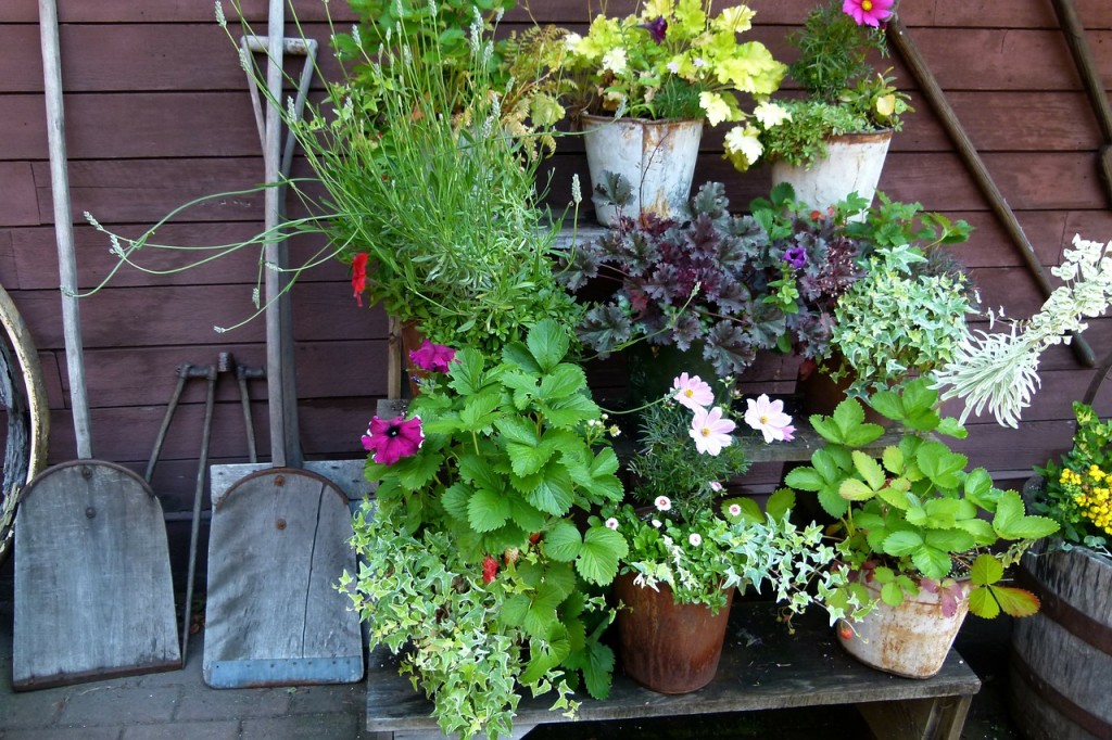 Choosing The Right Shovel For Your Garden in Sevenoaks
