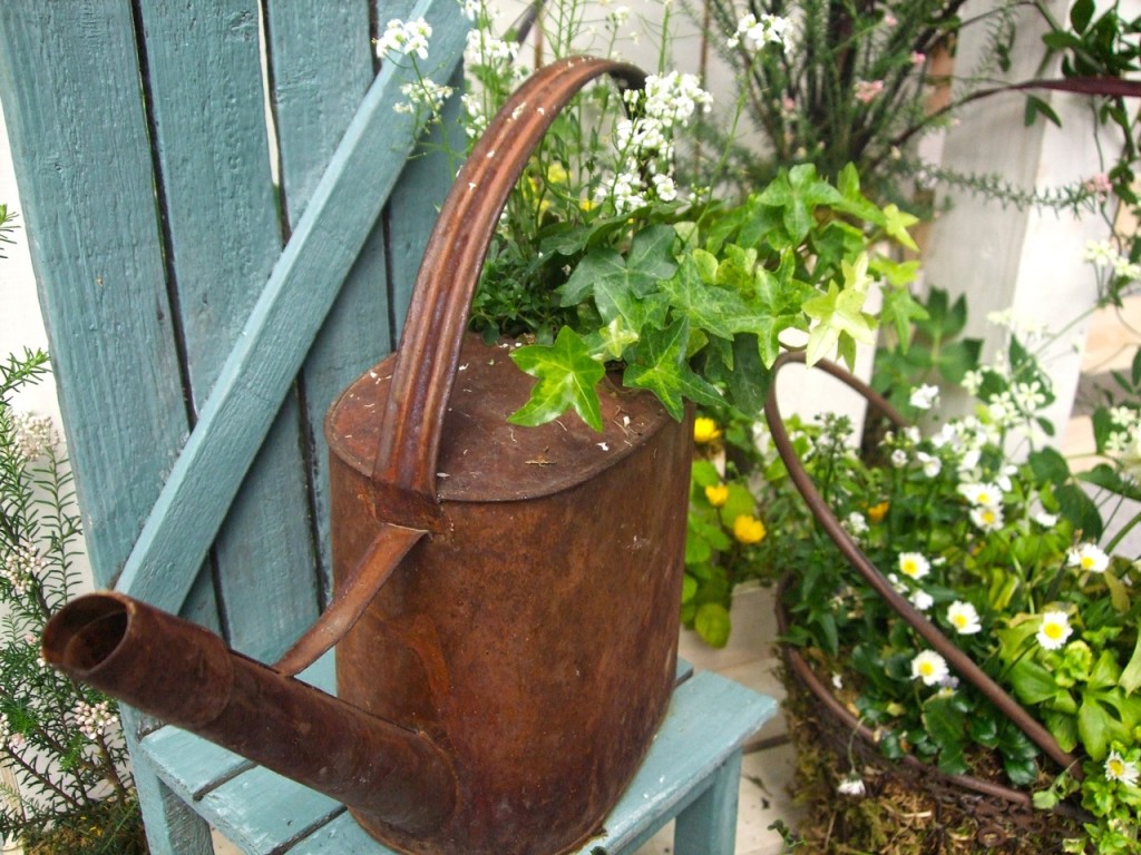 A rusty watering can with green foliage in it.