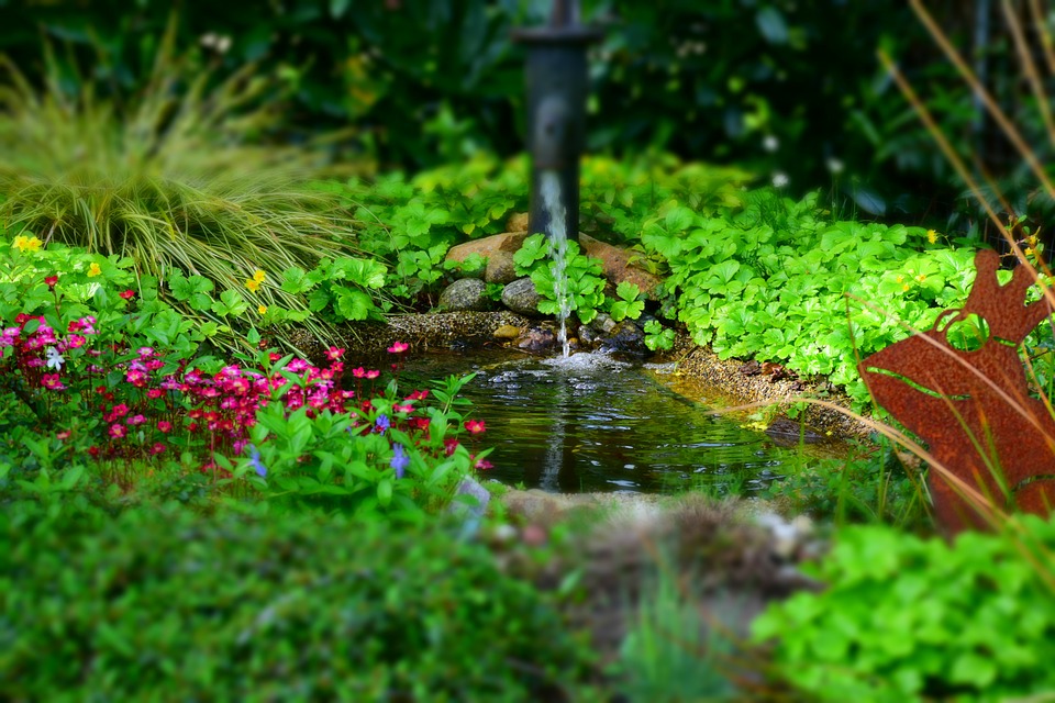 garden garden