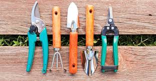 5 DIY Spring Tips for Your Surrey Garden